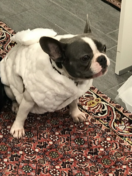 Hochzeit Rolf Sabina 06